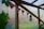 A rustic greenhouse interior with wooden beams and a makeshift flag banner made of plaid fabric. A black vintage-style hanging lantern is also visible. Green leaves and tendrils creep along the wooden structure, adding a natural touch to the setting.
