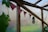 A rustic greenhouse interior with wooden beams and a makeshift flag banner made of plaid fabric. A black vintage-style hanging lantern is also visible. Green leaves and tendrils creep along the wooden structure, adding a natural touch to the setting.