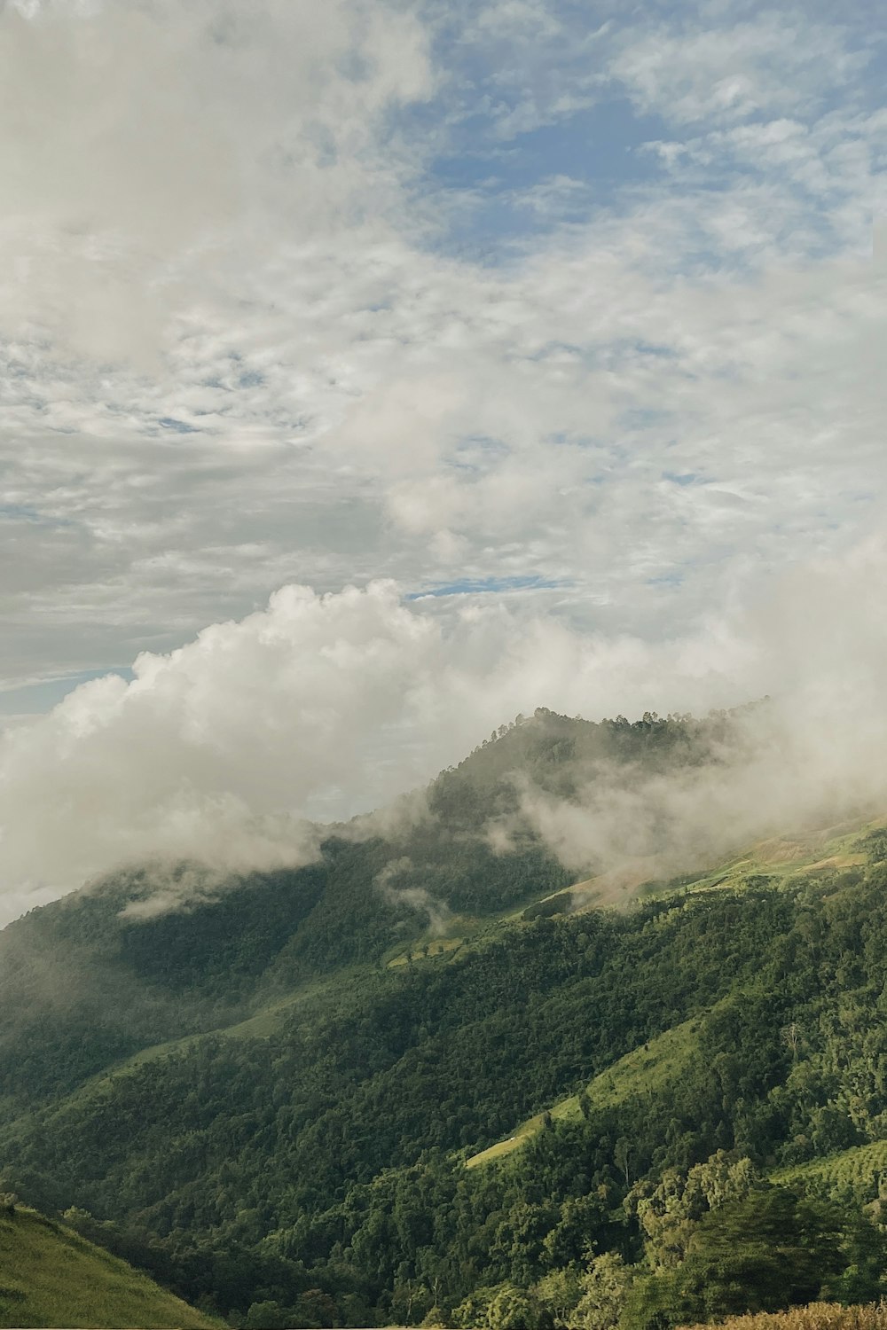 a view of a lush green hillside covered in clouds