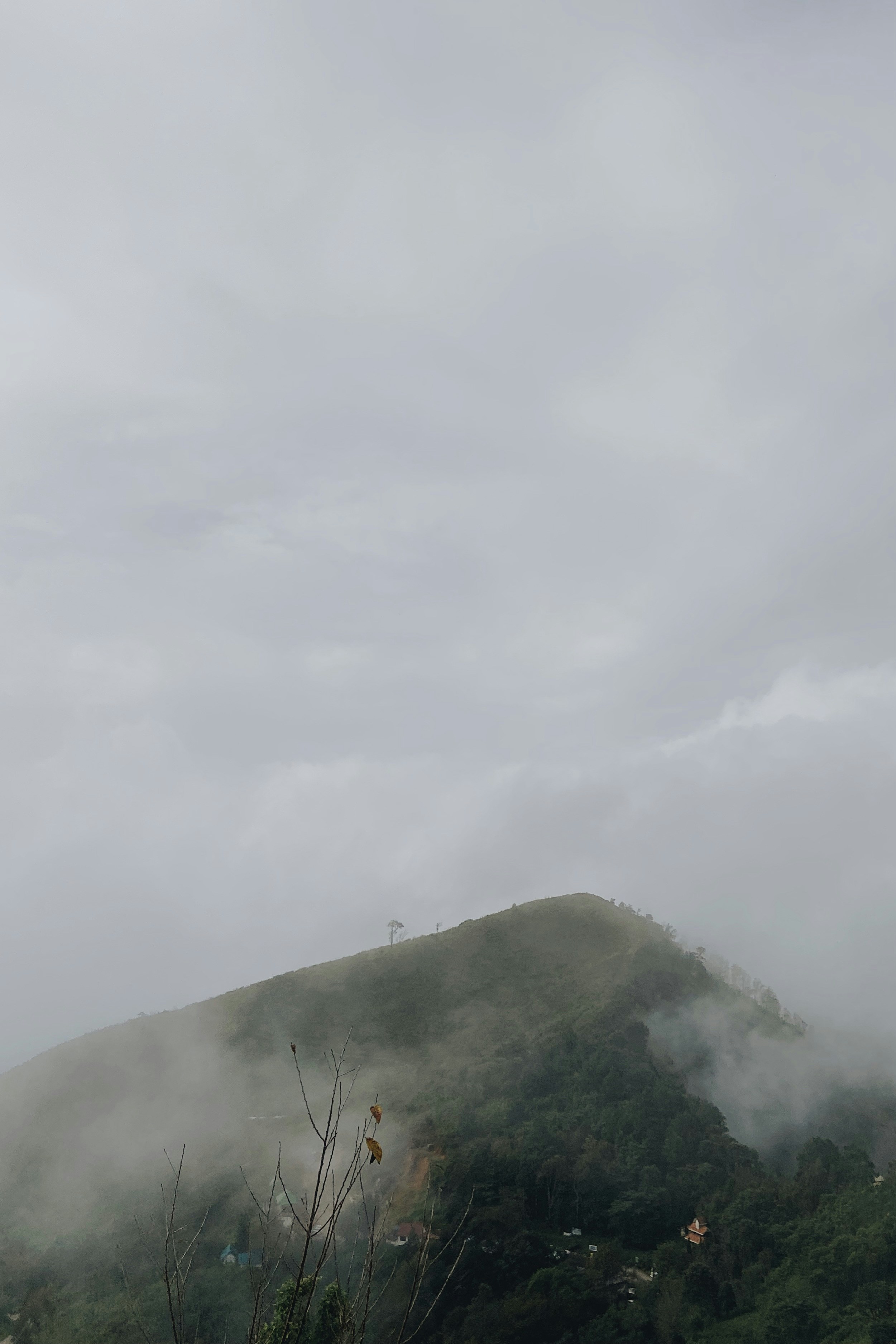 after rainy
