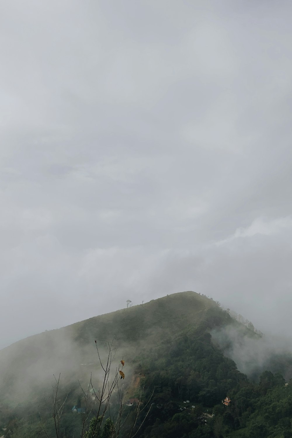a foggy mountain covered in trees and clouds