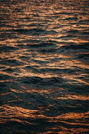 Dark ocean waves are illuminated by a warm orange glow, likely from a sunset or sunrise. The surface of the water has a textured and reflective appearance, with ripples and small waves creating a dynamic pattern across the scene.