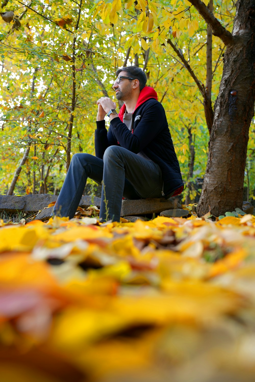 a man sitting on a bench next to a tree