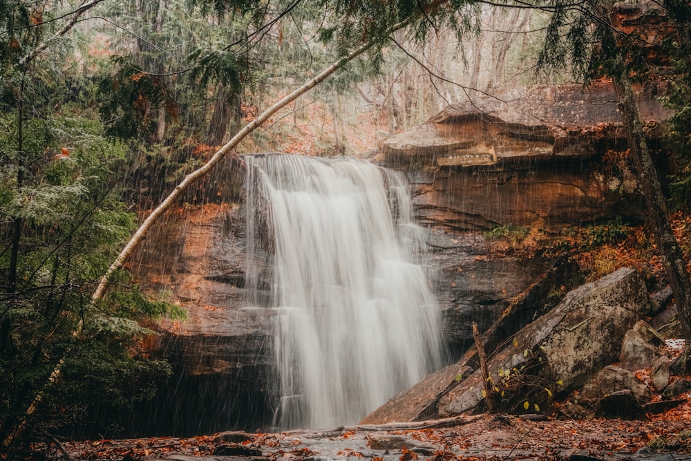 a waterfall in the middle of a forest