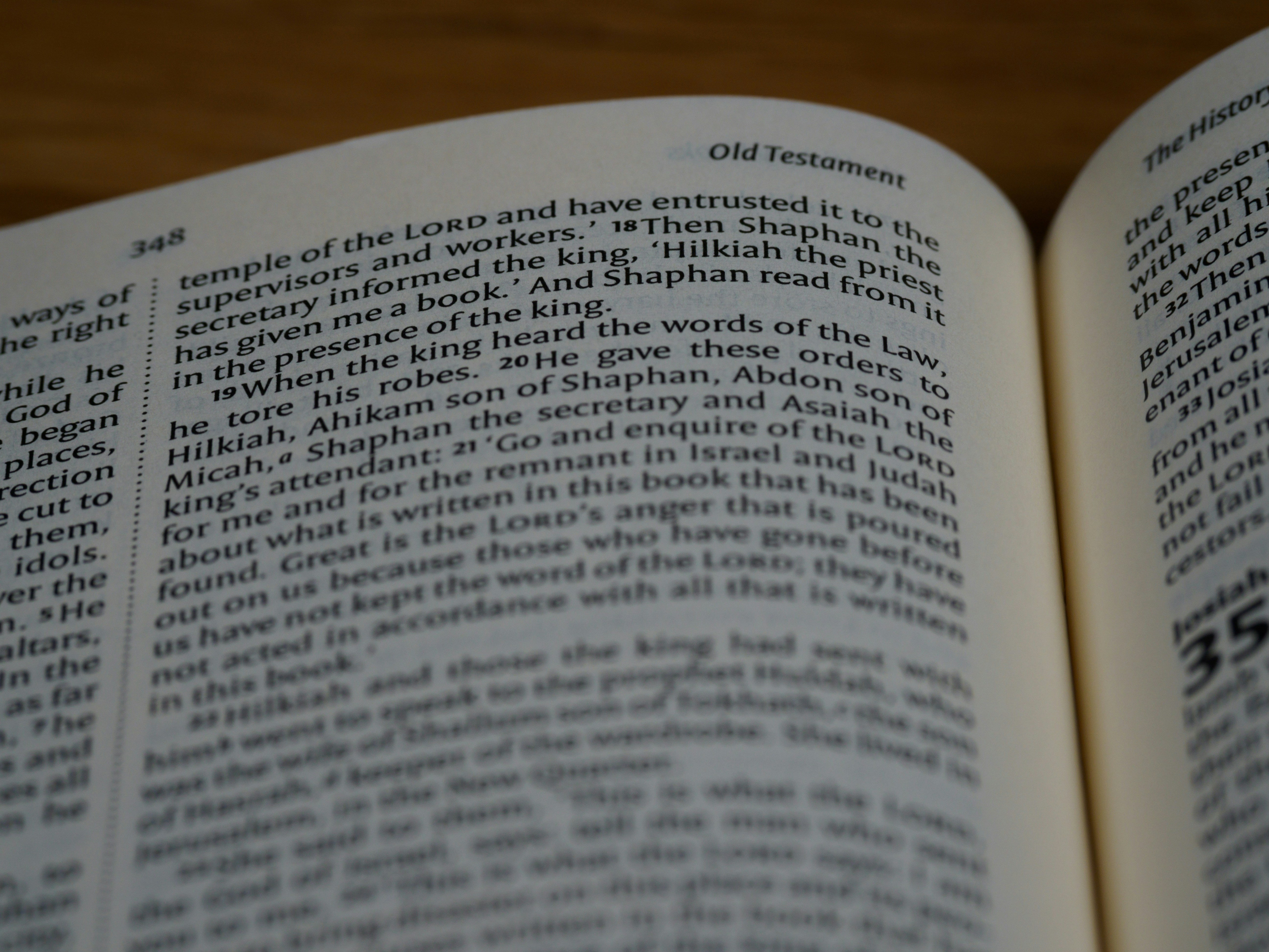 Photo by brett_jordan