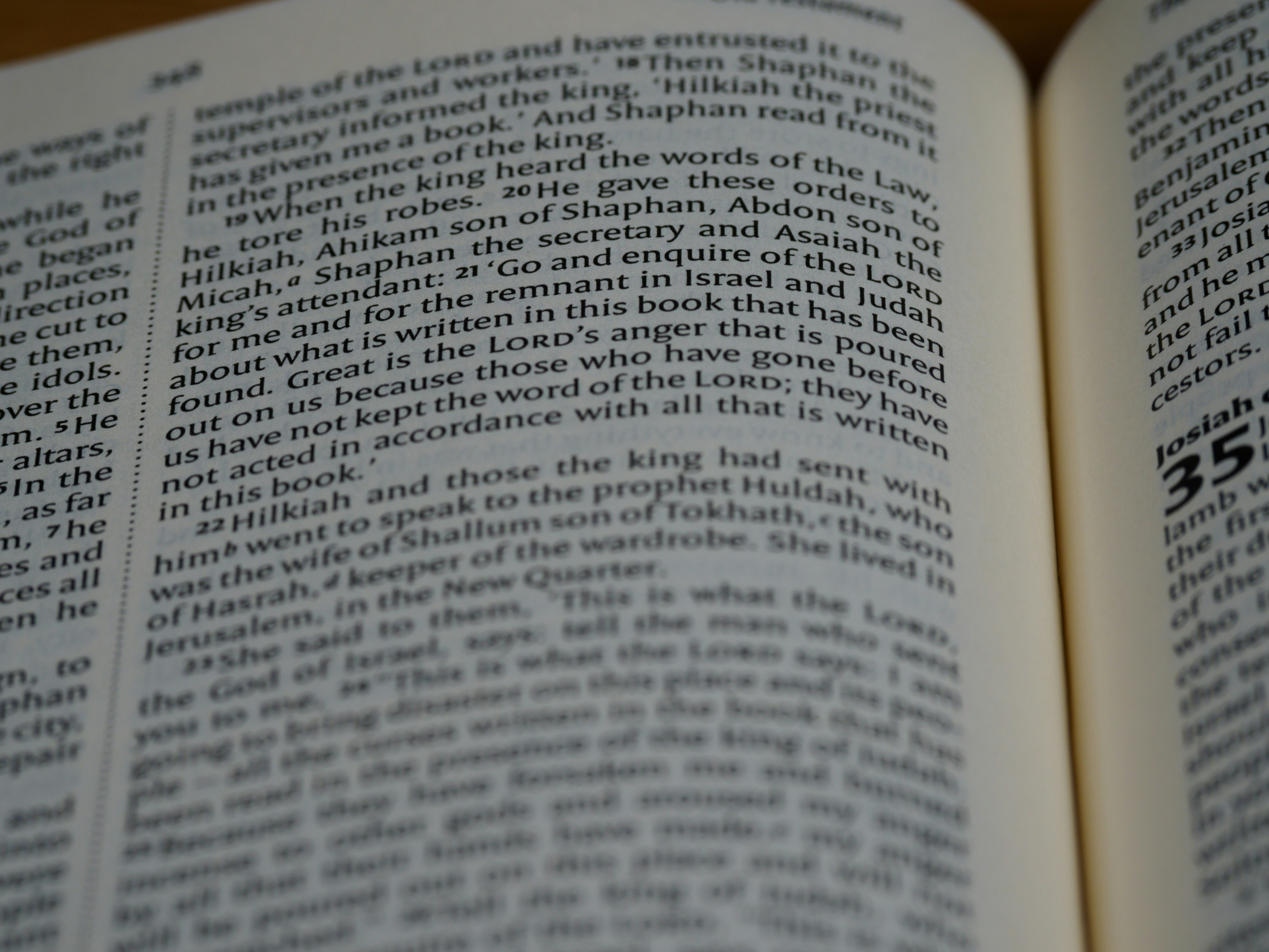 Photo by brett_jordan