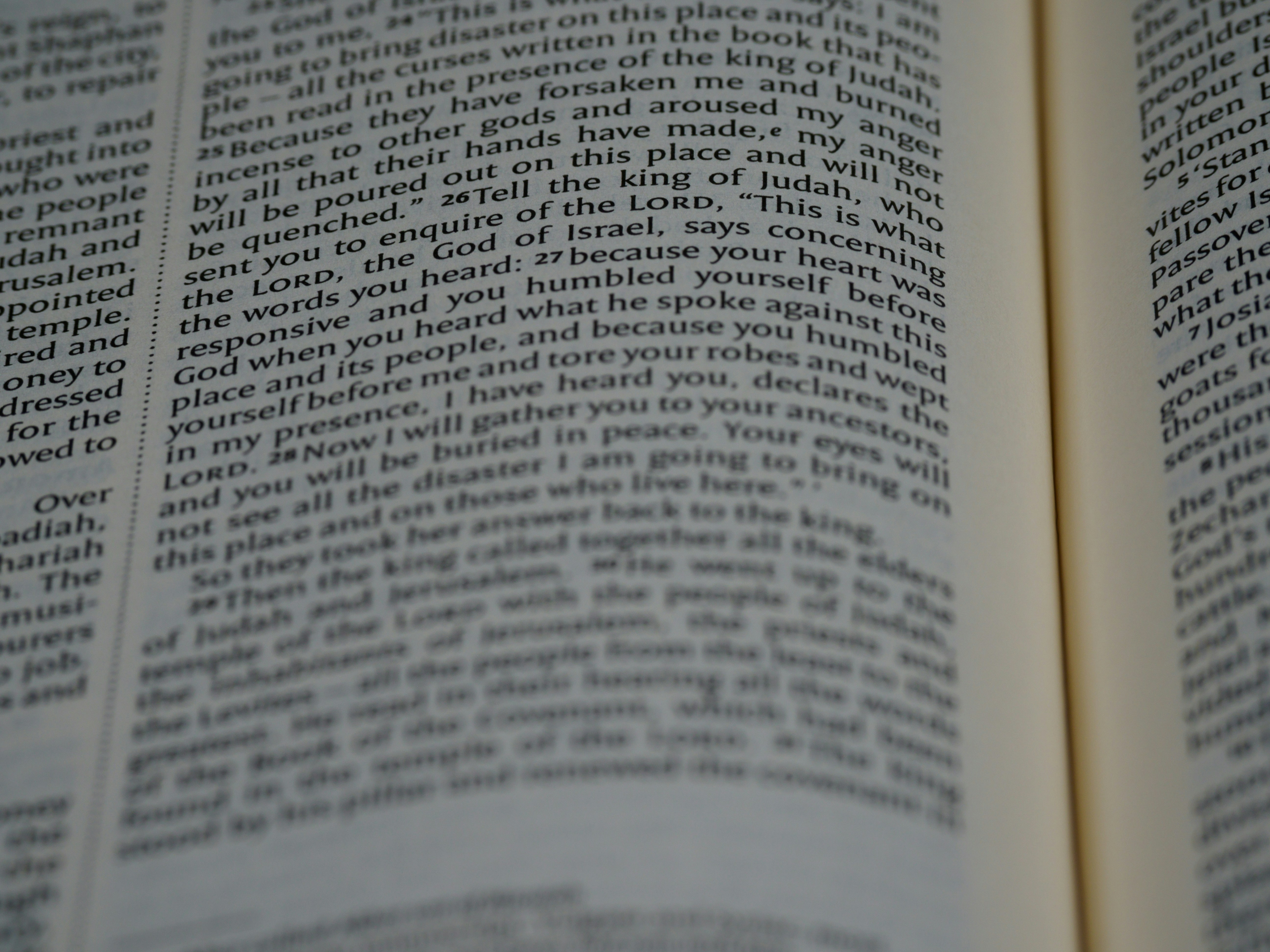 Photo by brett_jordan