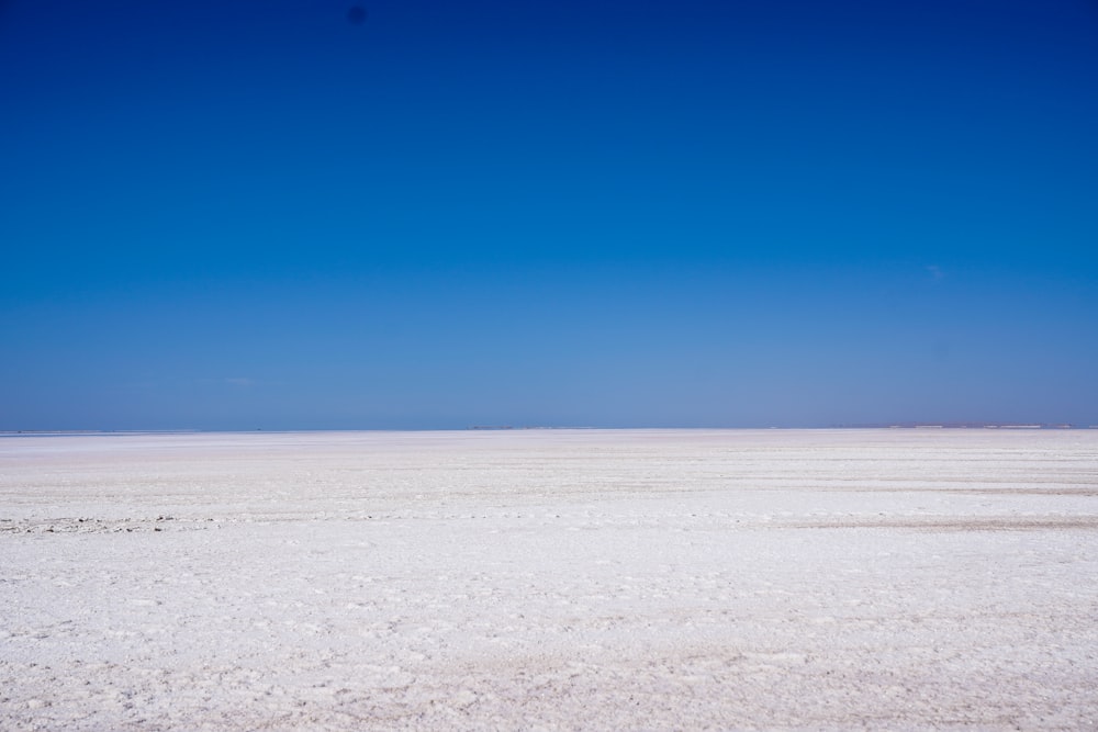 a lone horse standing in the middle of the desert