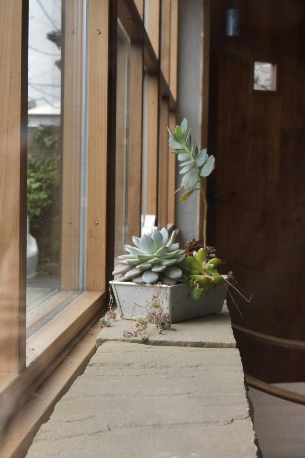 a potted plant sitting on a ledge next to a window