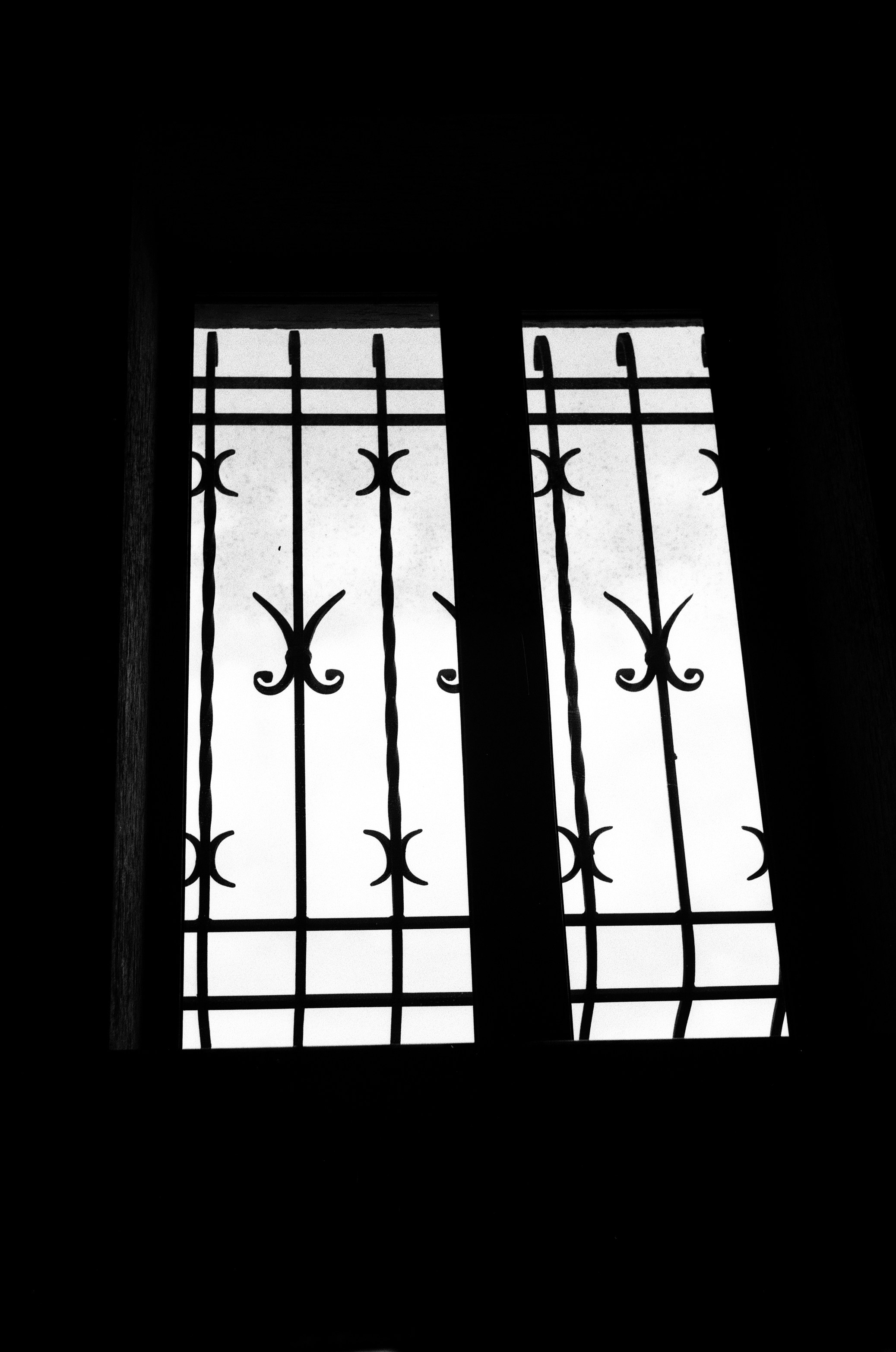 Photo by ana_petrenko