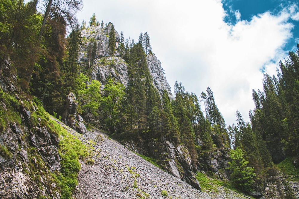 a man riding a surfboard on top of a mountain