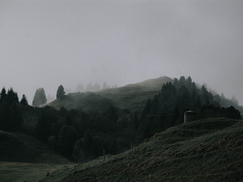 a hill covered in fog and trees on a cloudy day