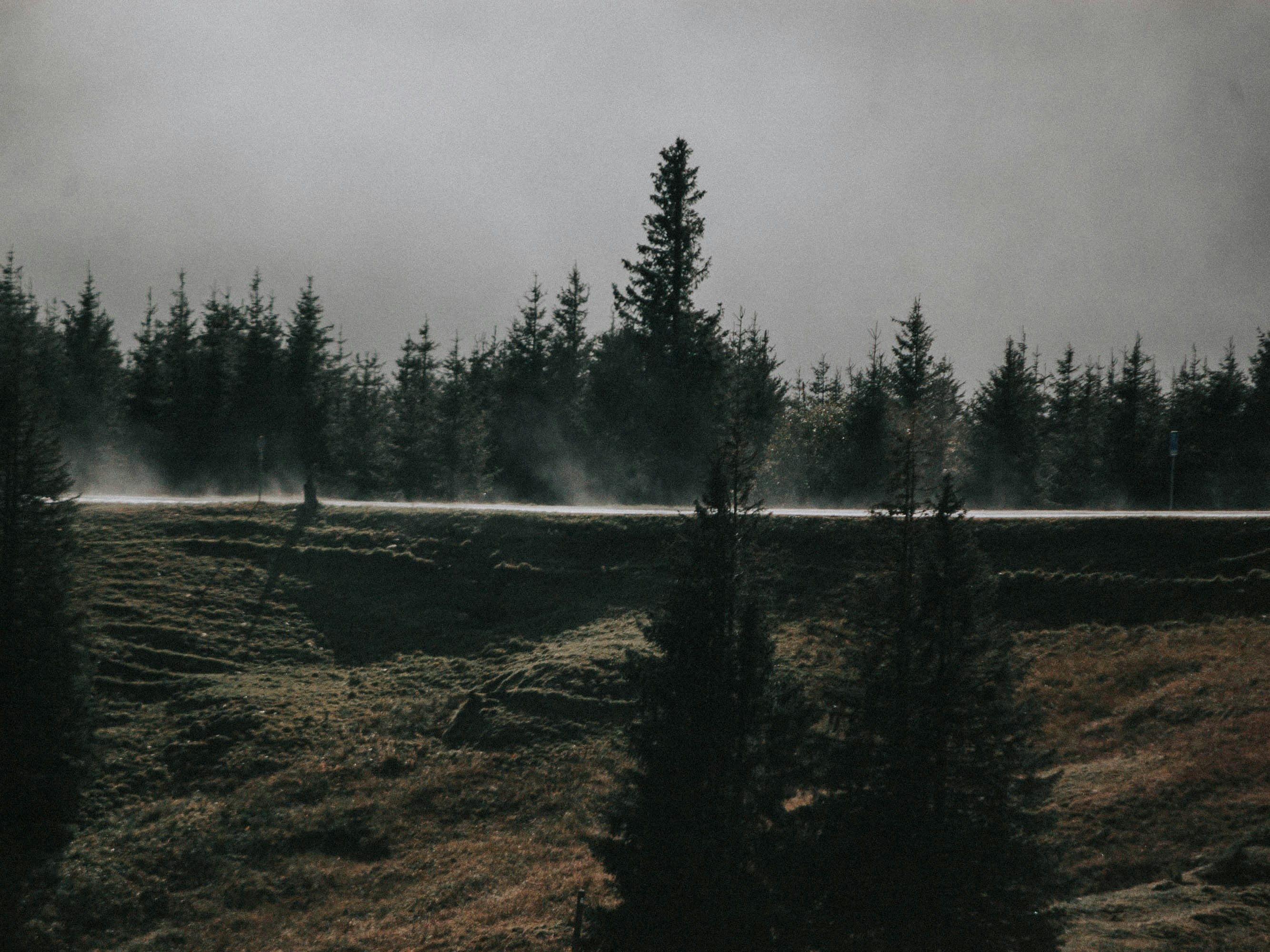 Photo by jerome_photography