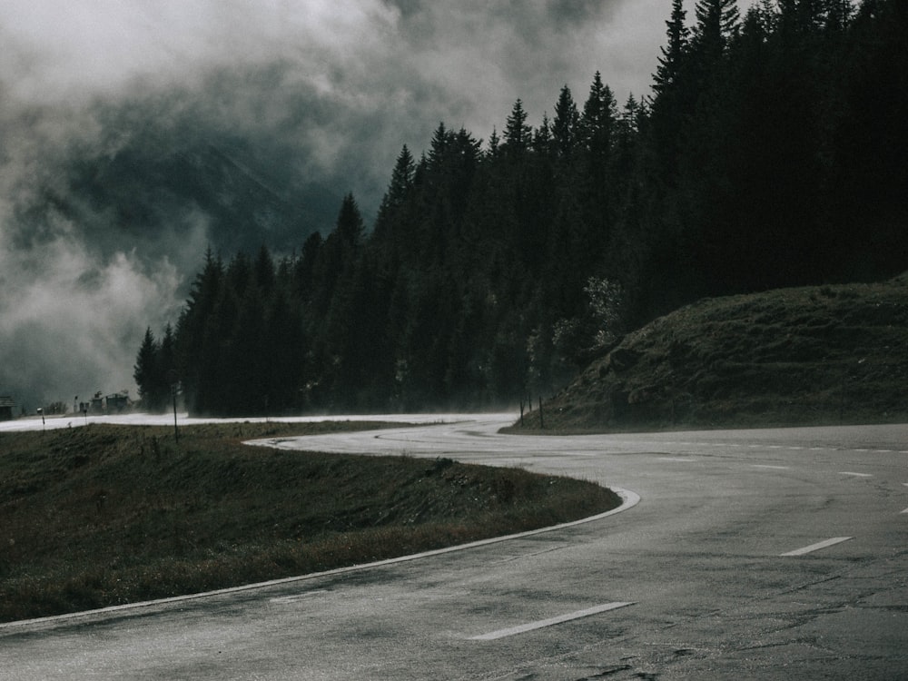 a winding road in the middle of a forest