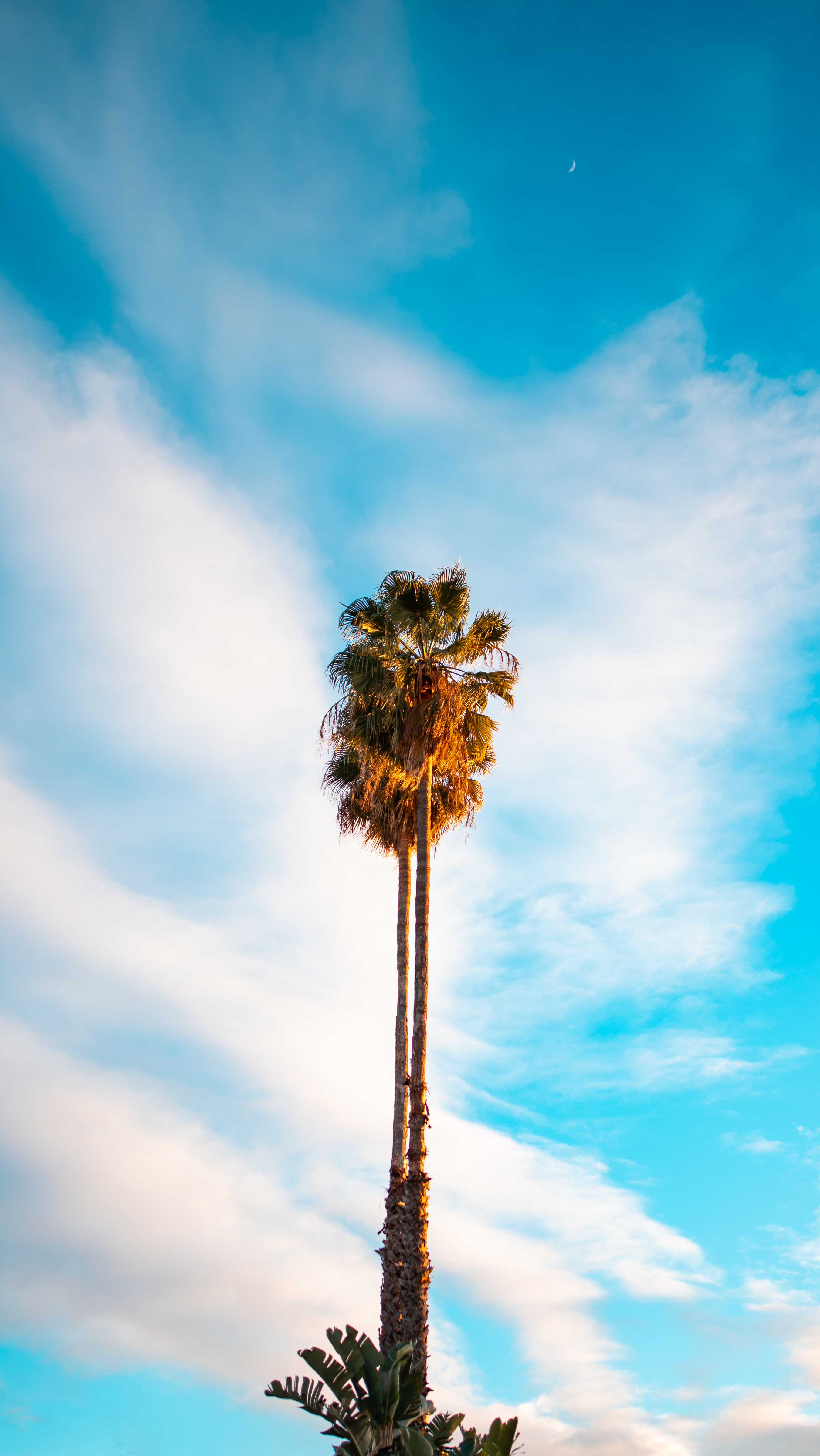 Photo by dillydallying