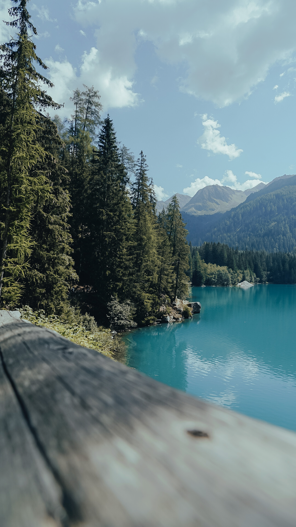 a body of water surrounded by trees and mountains