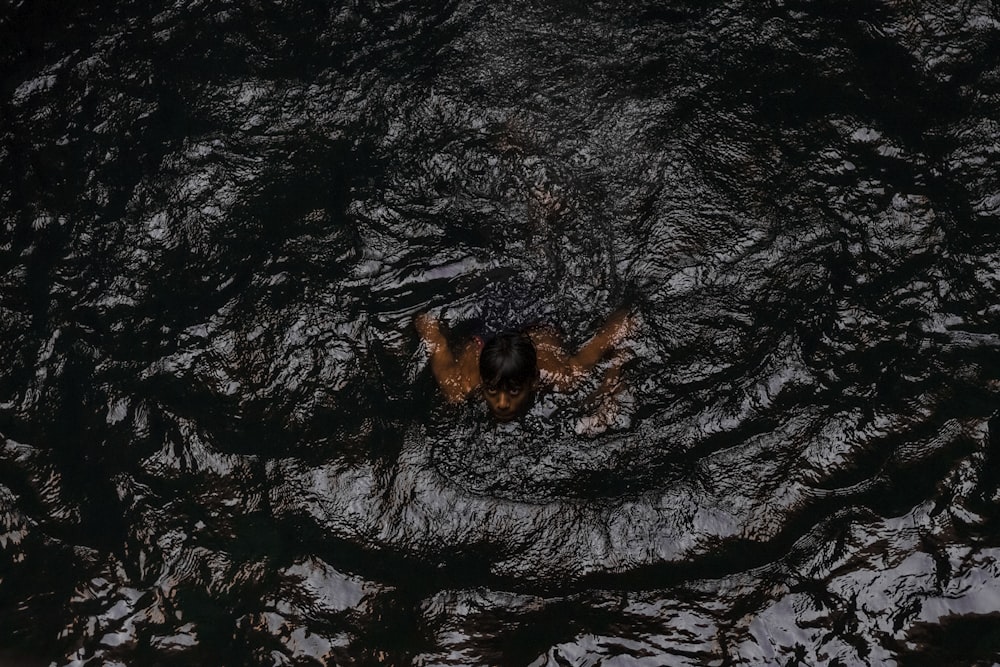 a dog swimming in a body of water