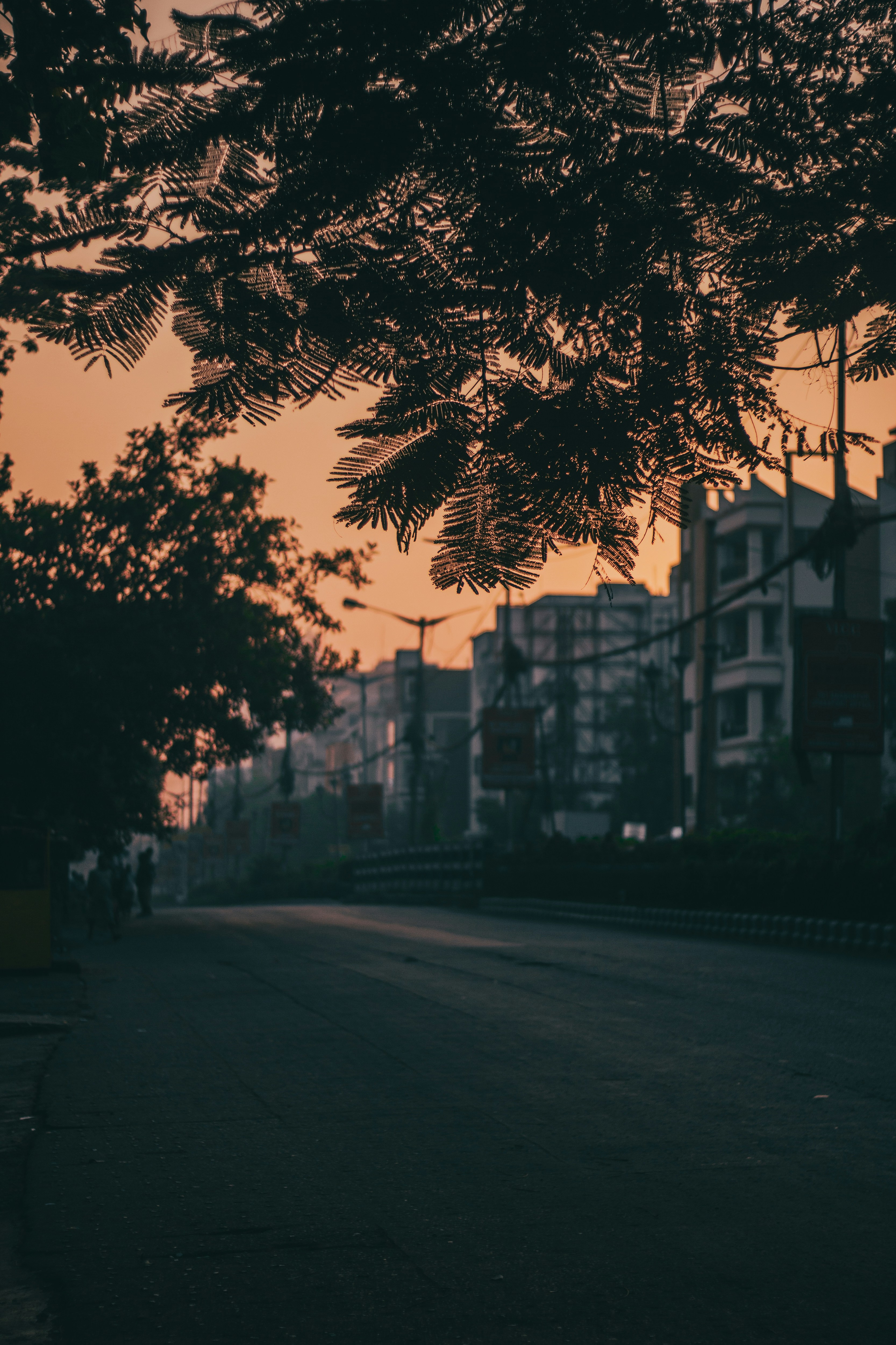 Photo by southern_scenes