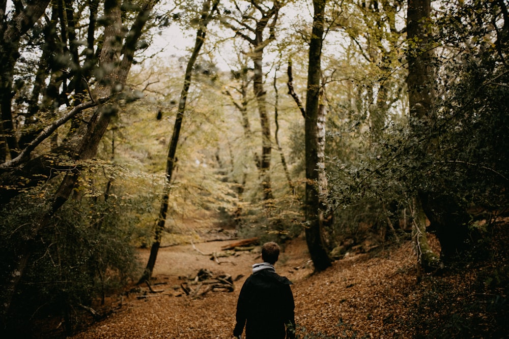 Una persona che cammina lungo un sentiero nel bosco