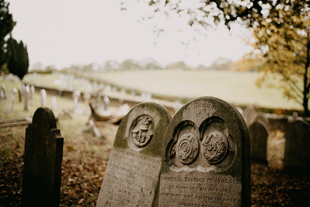 Un cementerio con lápidas y árboles al fondo