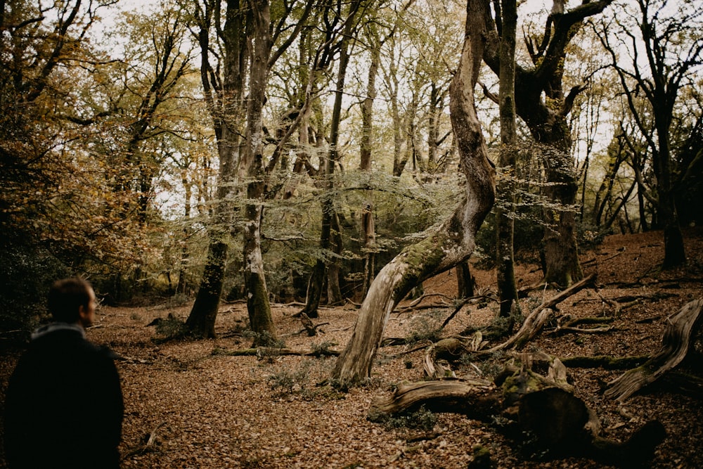 a man standing in a forest next to a fallen tree