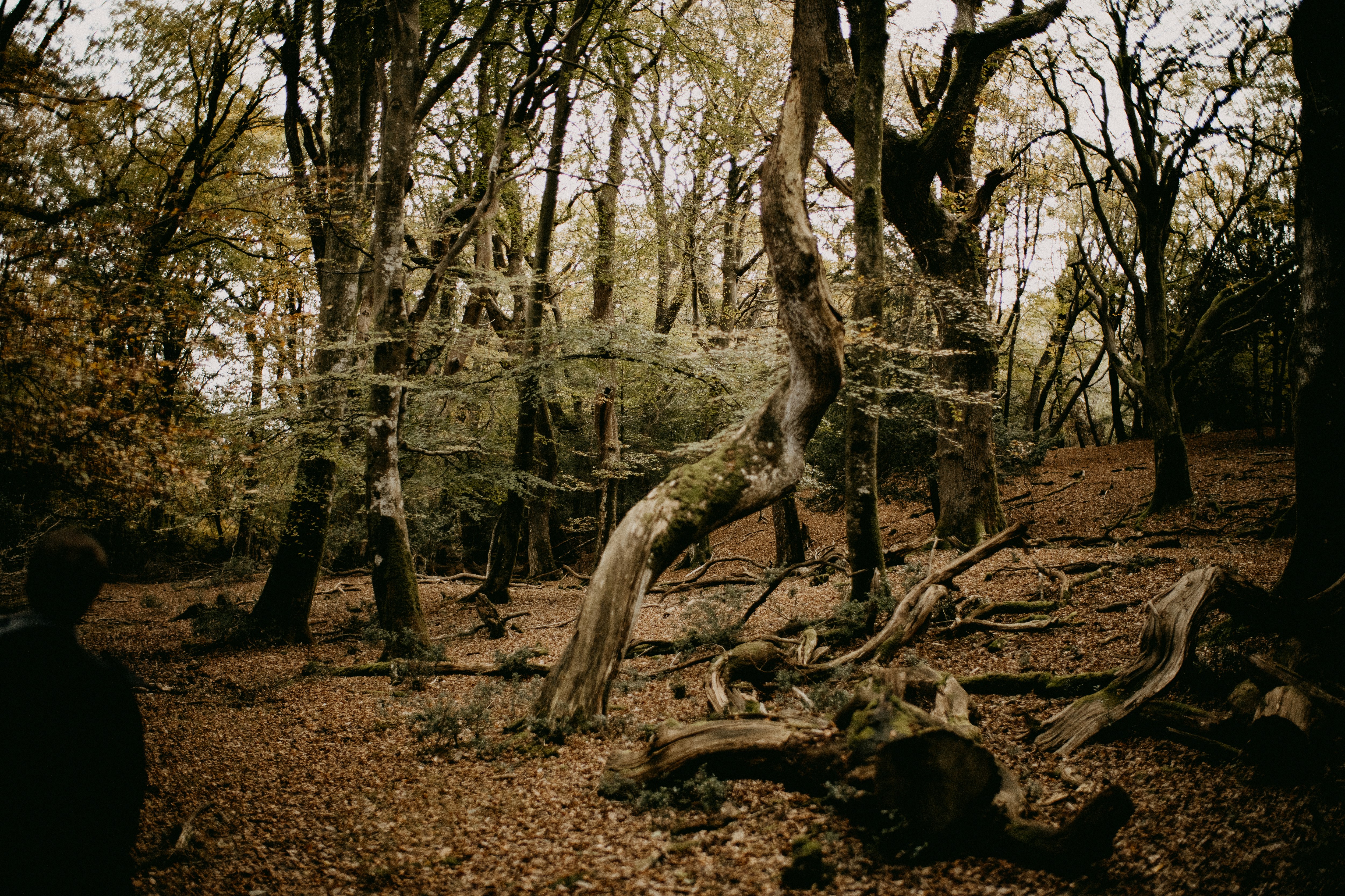 Photo by anniespratt