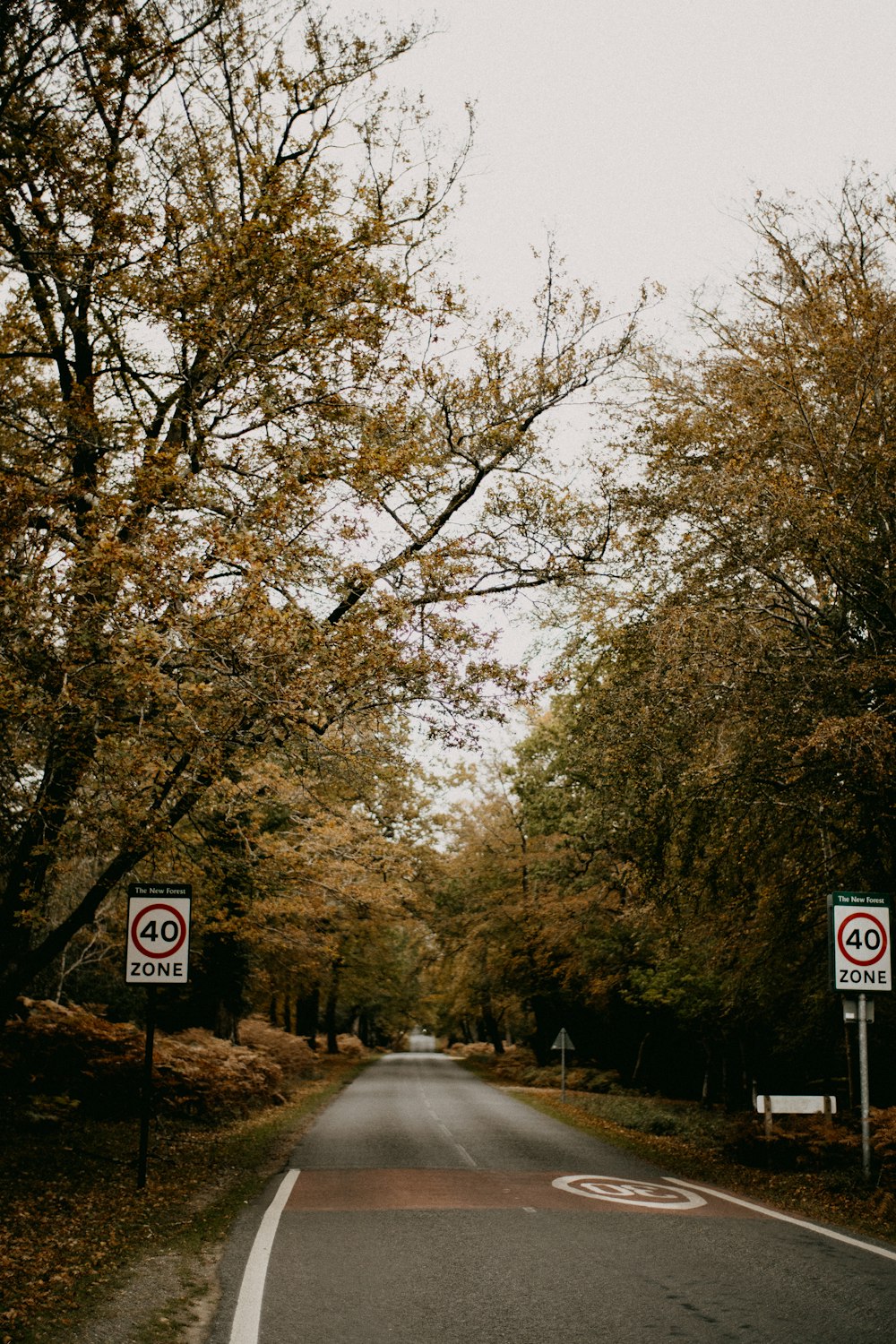 una strada con un cartello di divieto di parcheggio sul lato di esso