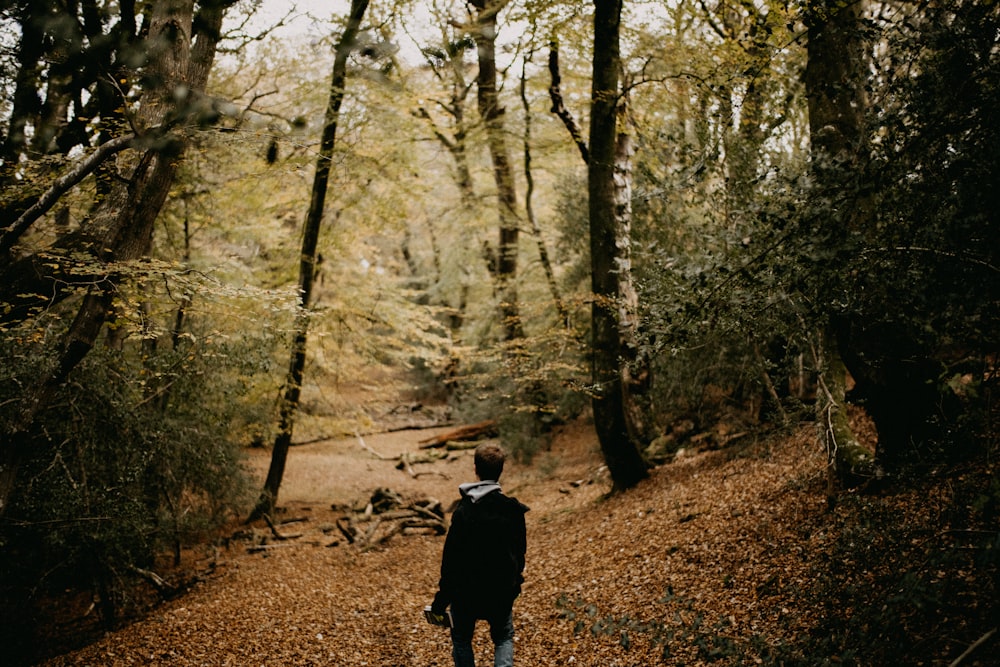 Una persona parada en un camino en el bosque