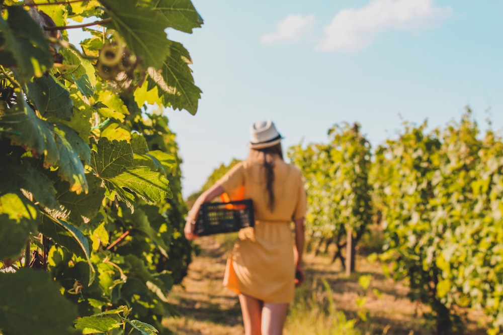 a woman in a yellow dress walking through a vineyard