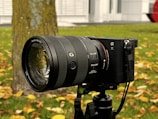 A professional camera with a zoom lens is mounted on a tripod. The background features a tree with fallen leaves scattered on the green grass. The camera is positioned outdoors, suggesting a setup for photography in a natural setting.