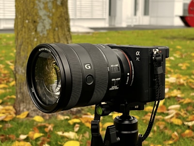 A professional camera with a zoom lens is mounted on a tripod. The background features a tree with fallen leaves scattered on the green grass. The camera is positioned outdoors, suggesting a setup for photography in a natural setting.