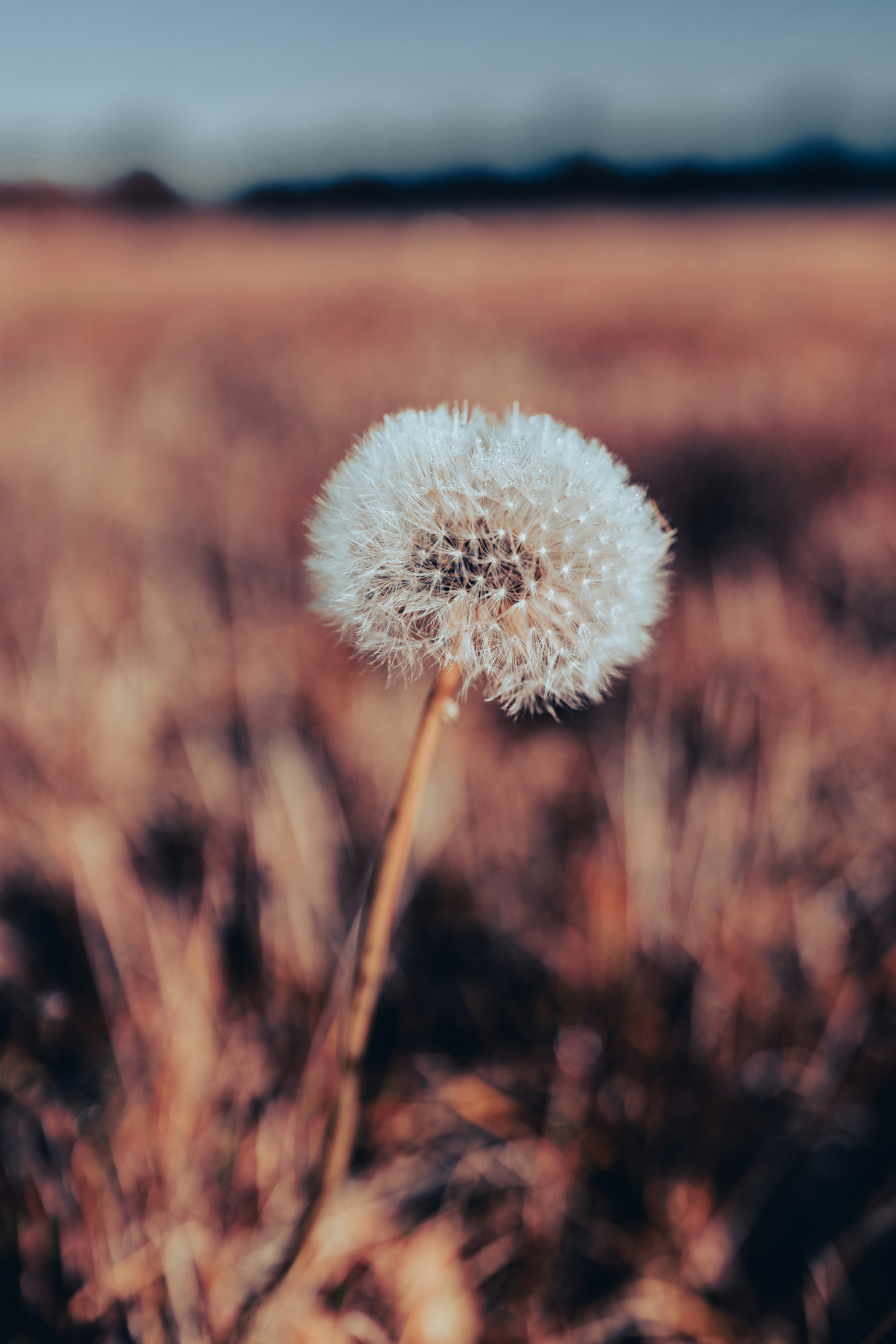 Photo by grievek1610begur