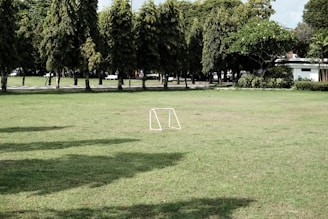 A small, white soccer goalpost is situated on a vast grassy field. The field is bordered by a row of tall, leafy trees that provide shade and frame the scene. In the background, a pathway with a few parked cars and a small building can be seen. The environment conveys a peaceful and serene atmosphere.
