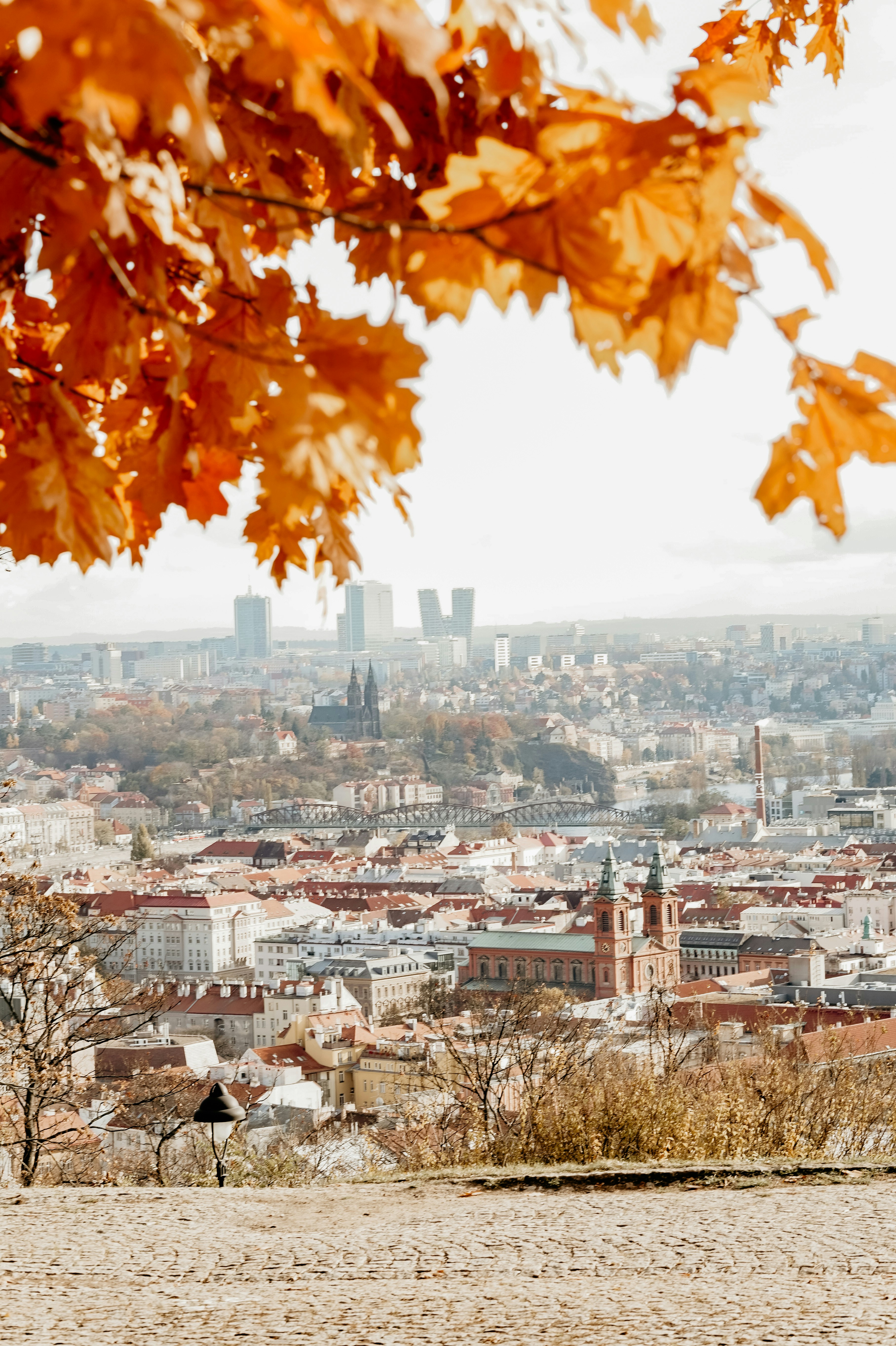 Eine Bank mit Blick auf eine Stadt im Hintergrund