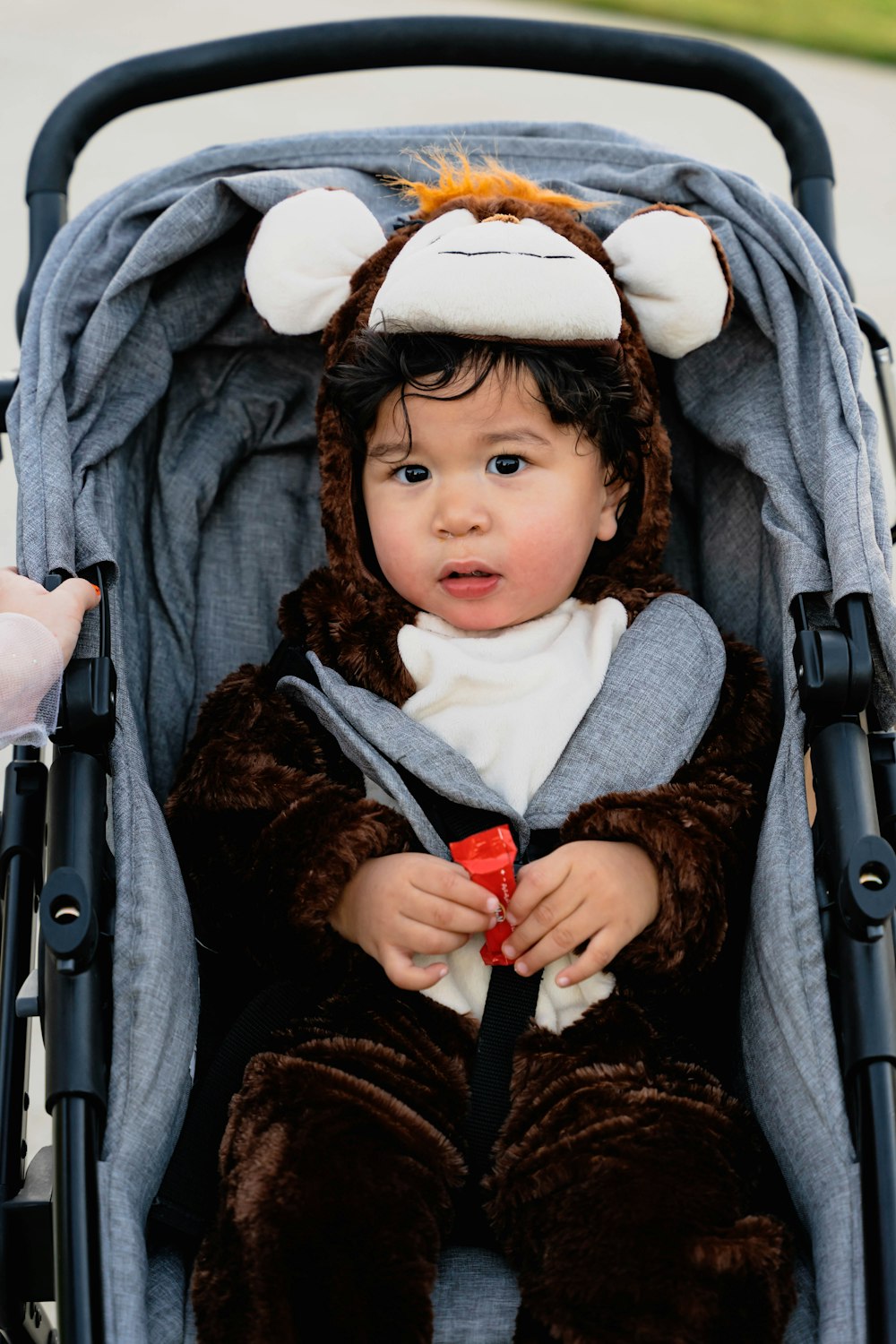 a baby in a monkey costume sitting in a stroller