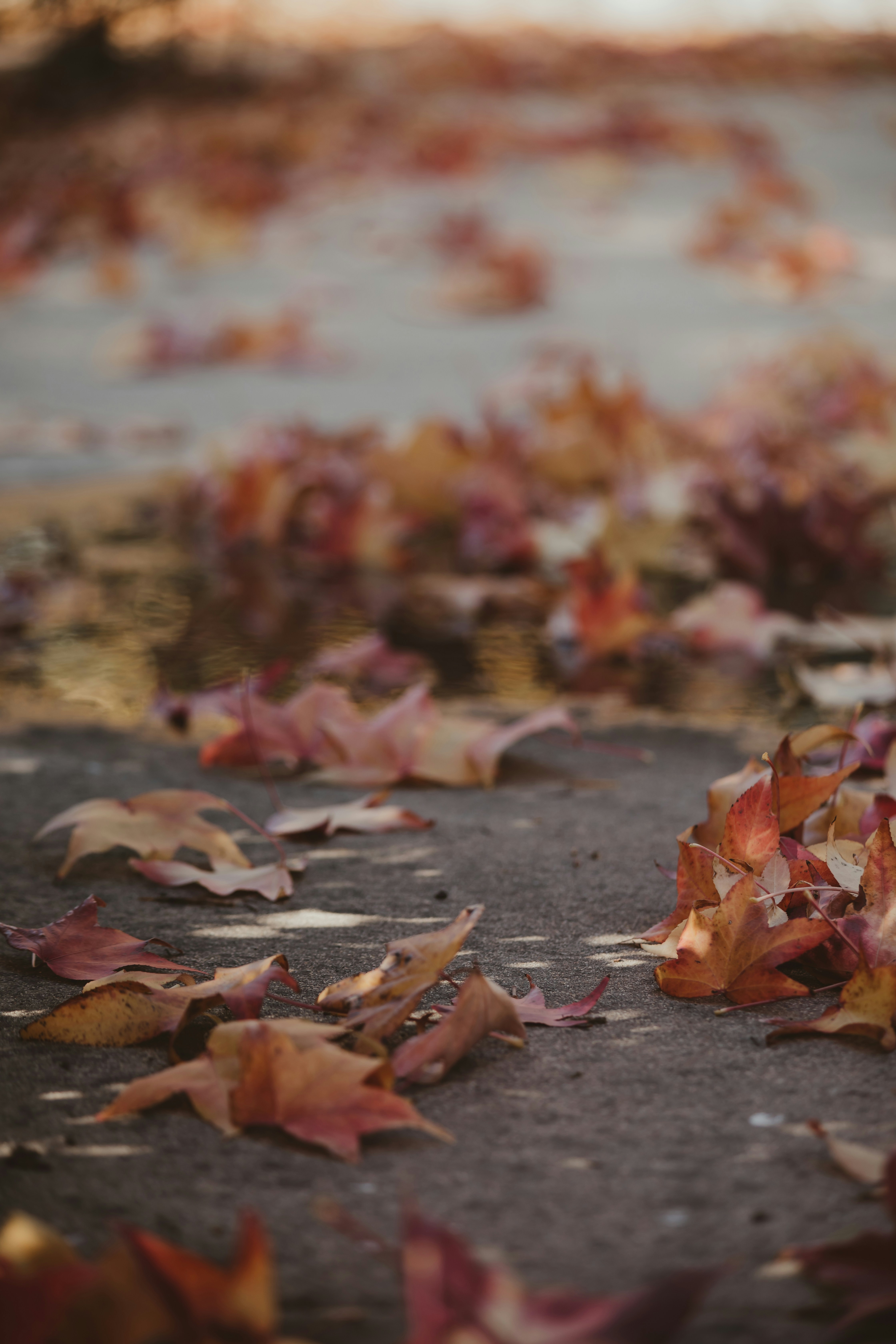 Photo by sixteenmilesout