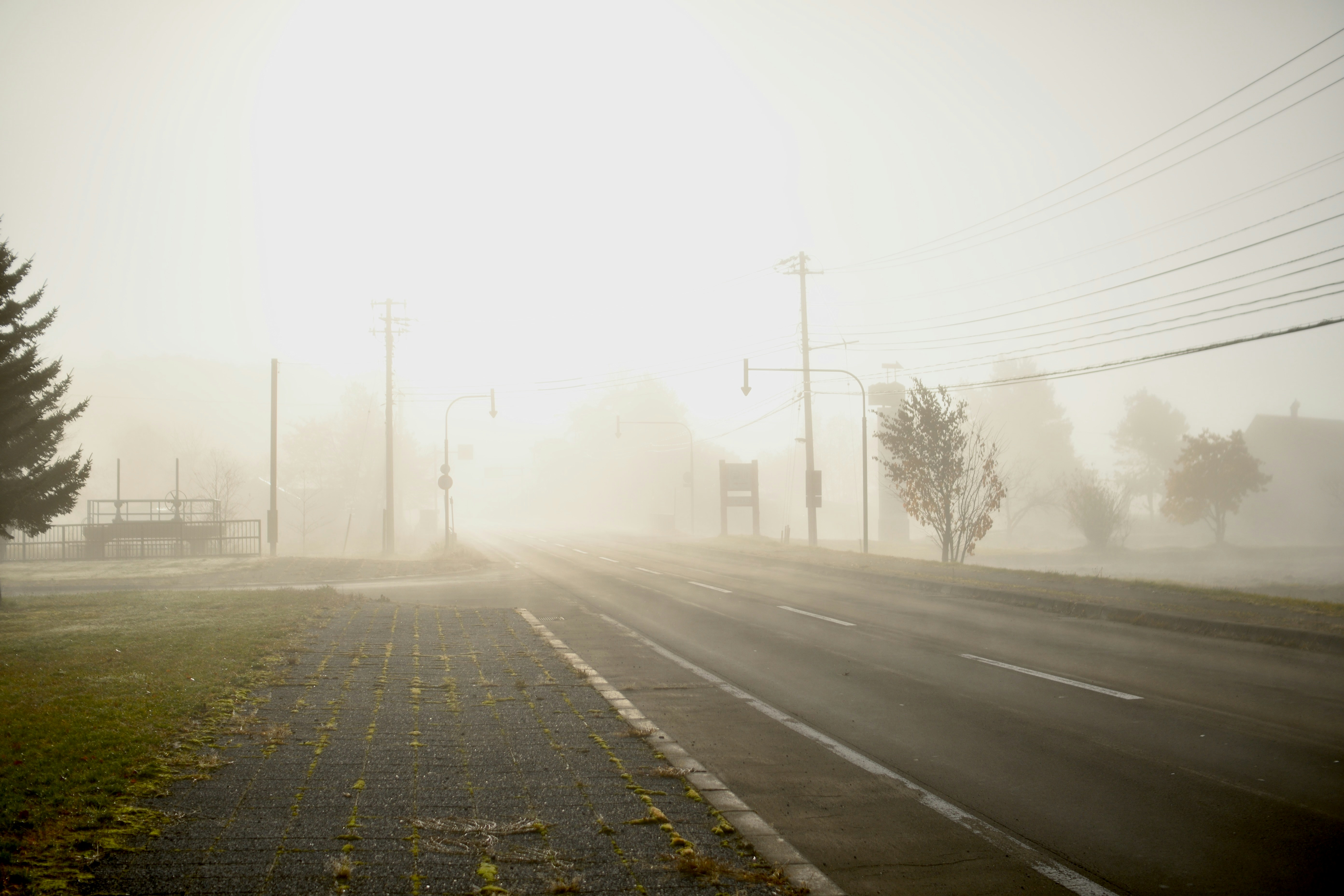 Photo by freezer_nico