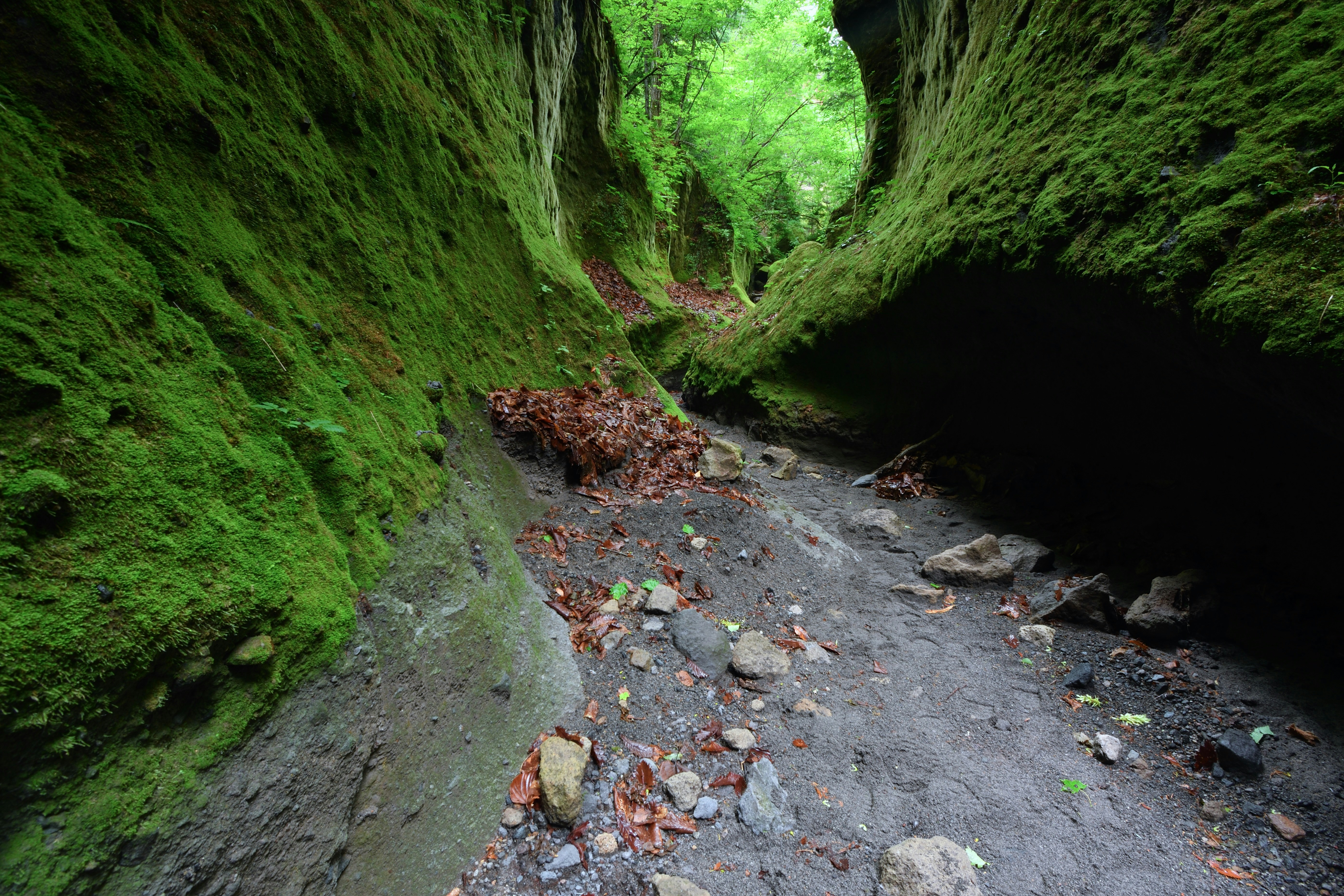 Photo by freezer_nico