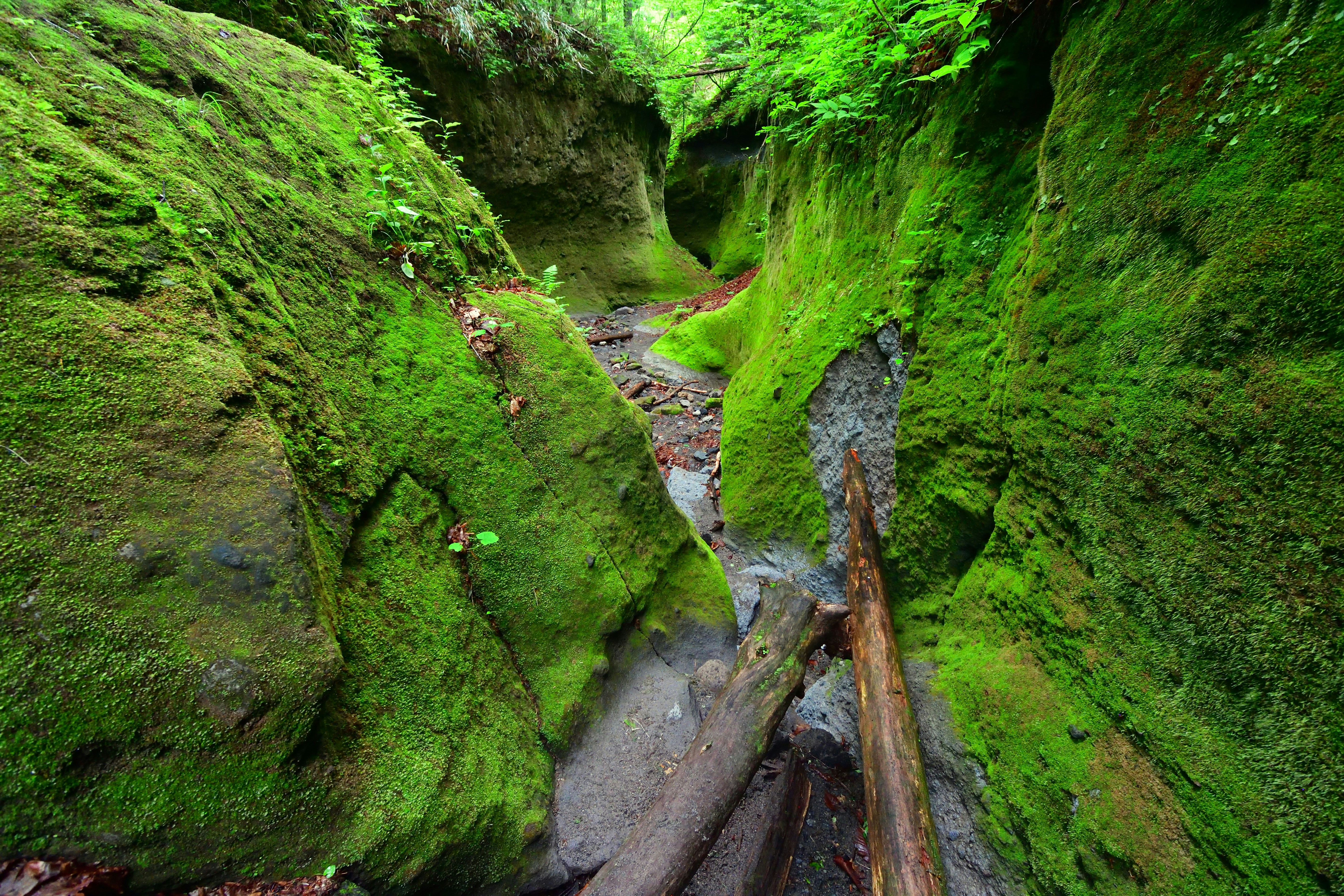 Photo by freezer_nico