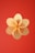 Gold coins with the Bitcoin logo are arranged in a circular formation against a solid red background.