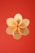 Gold coins with the Bitcoin logo are arranged in a circular formation against a solid red background.