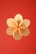 Gold coins with the Bitcoin logo are arranged in a circular formation against a solid red background.