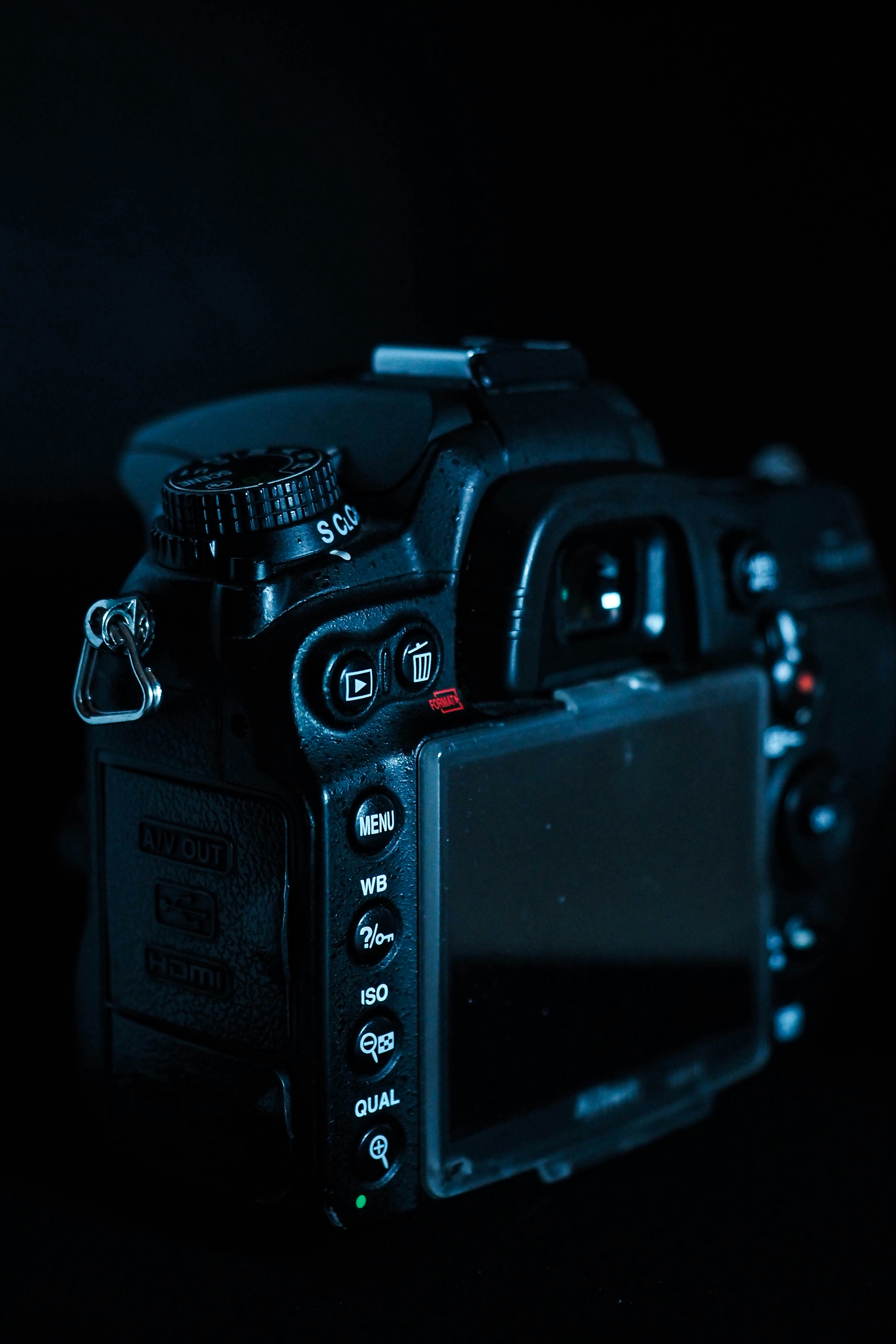 Photo by davidadipoetro