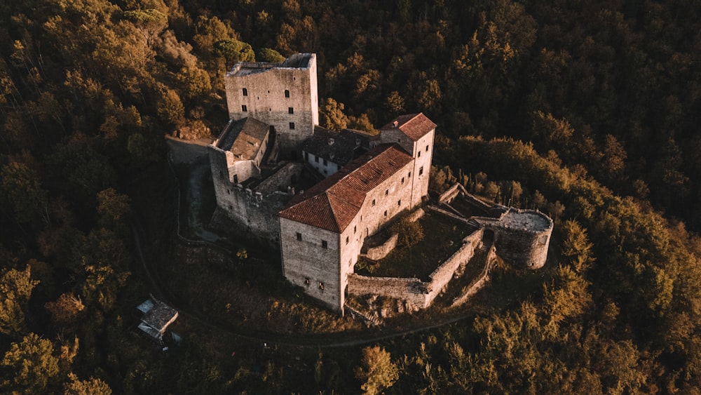 an aerial view of a castle surrounded by trees