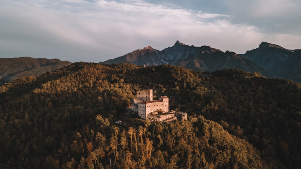 a castle on top of a mountain surrounded by trees