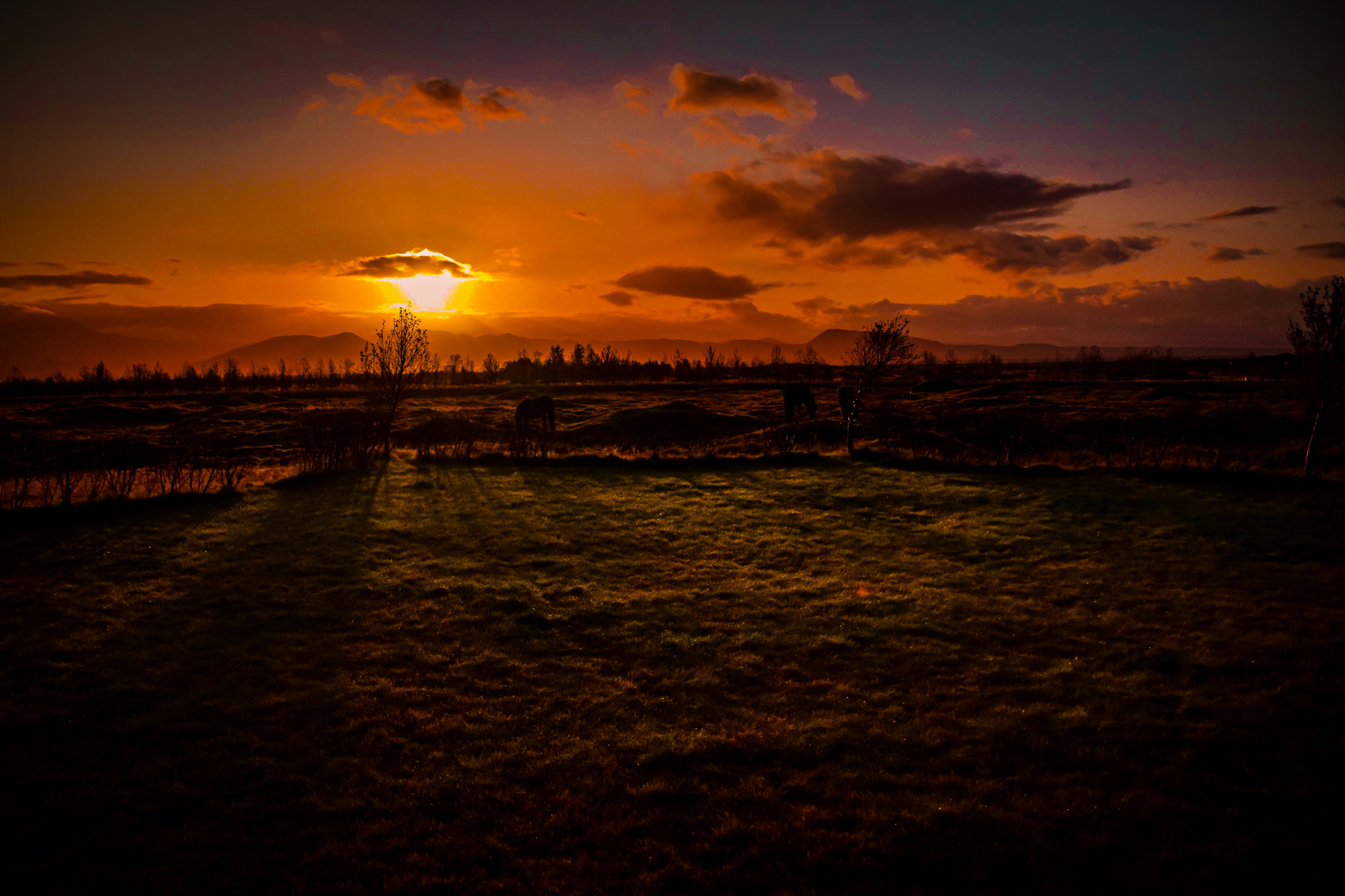 the sun is setting over a grassy field, Icelandic sunrise…