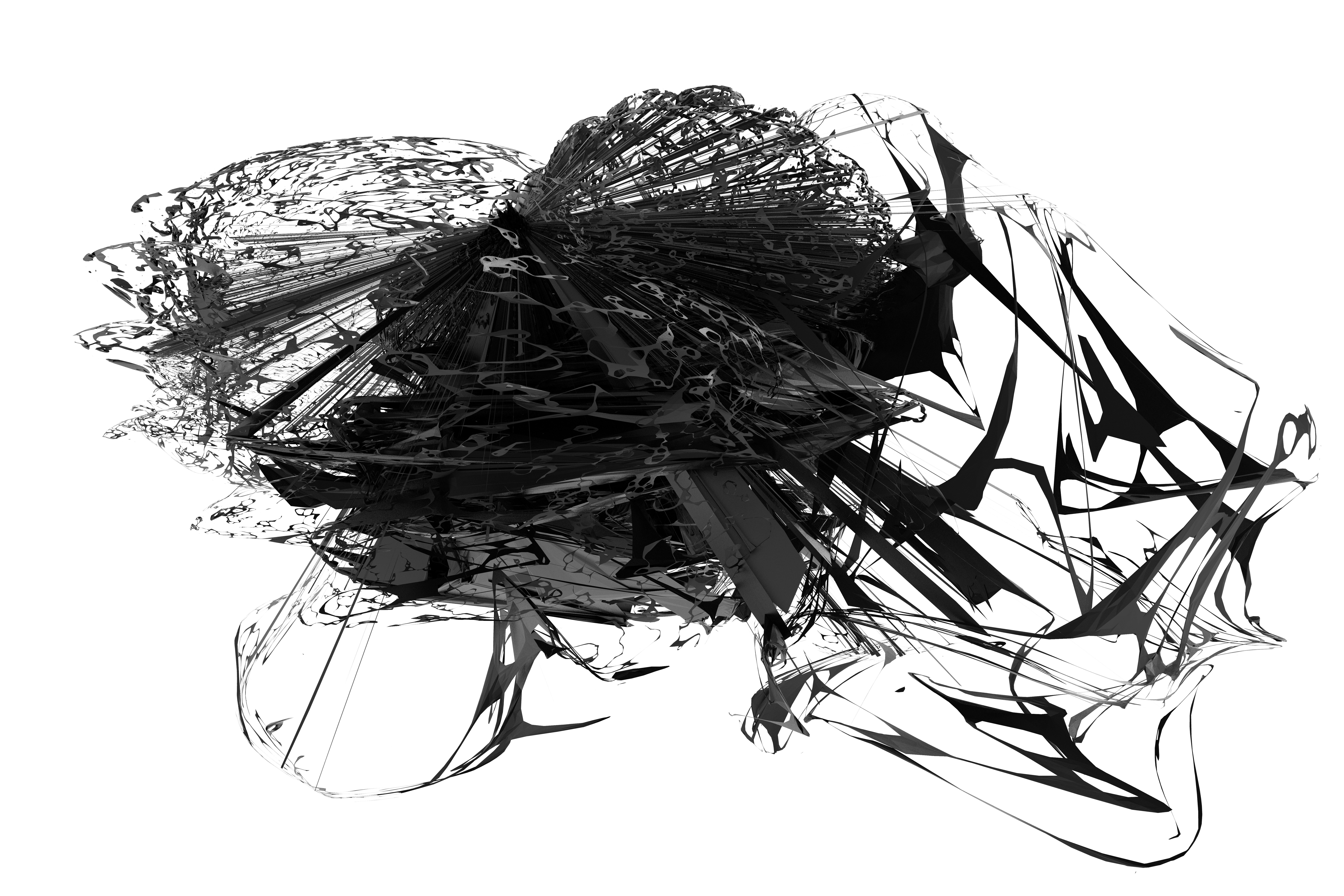 Photo by erickwalterbutler