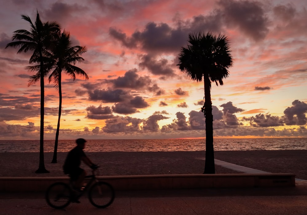 a man riding a bike down a sidewalk next to palm trees