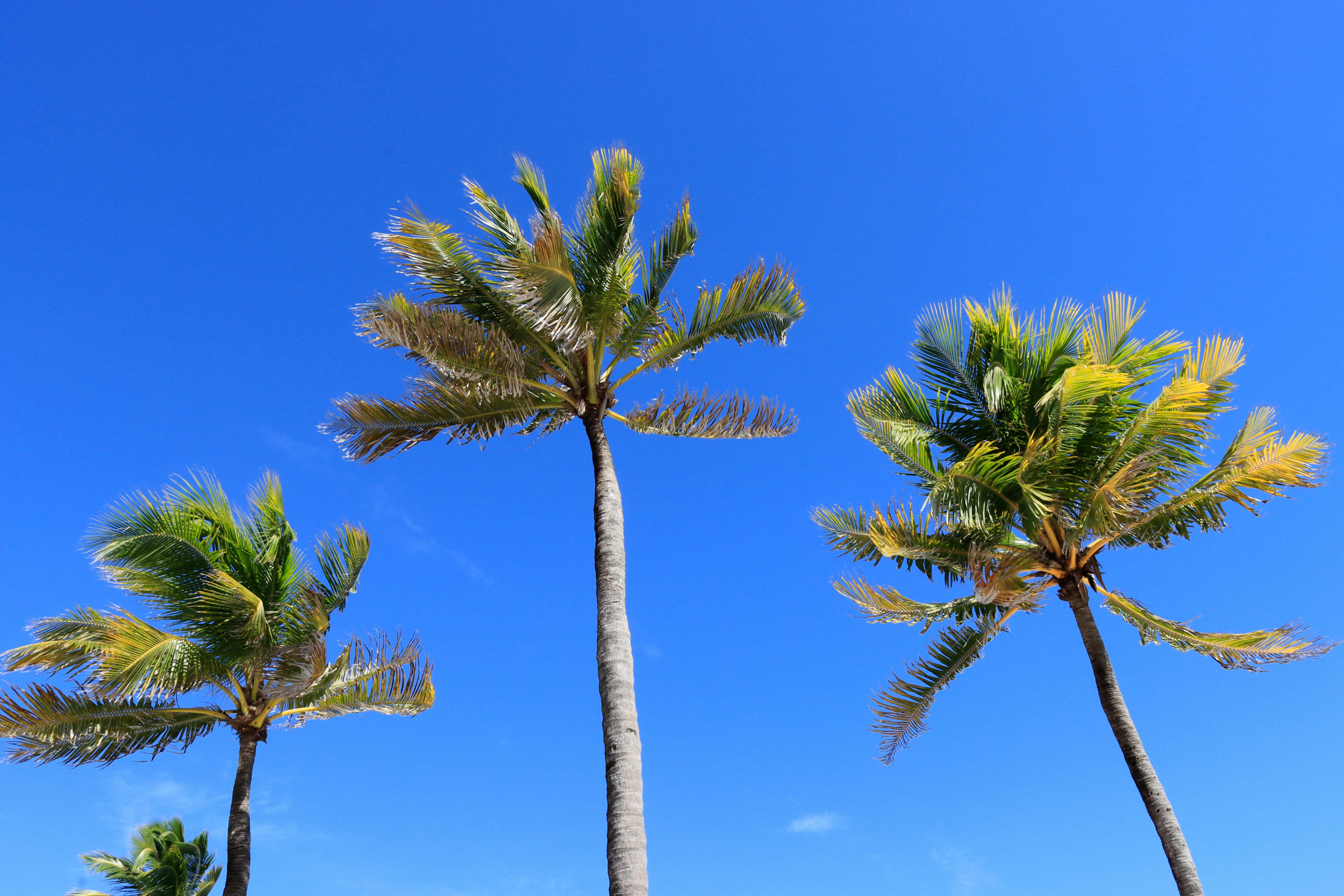 Photo by anibal_paradisi