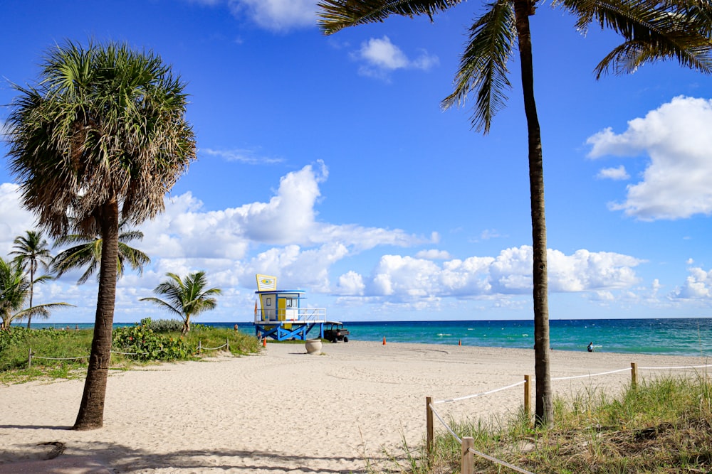 a beach with palm trees and a life guard tower